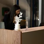 Le Grand Grenoble, Bw Premier Collection By Western Hotell Grenoble