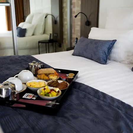 Le Grand Grenoble, Bw Premier Collection By Western 4* גרנובל