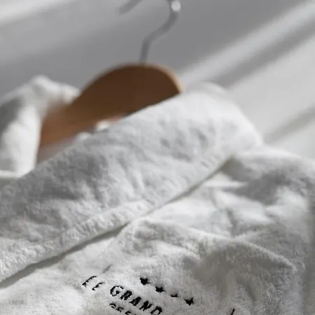 Le Grand Grenoble, Bw Premier Collection By Western 4* Grenoble